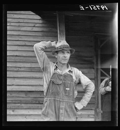 Tobacco sharecropper tells about his prospects. Person County, North Carolina