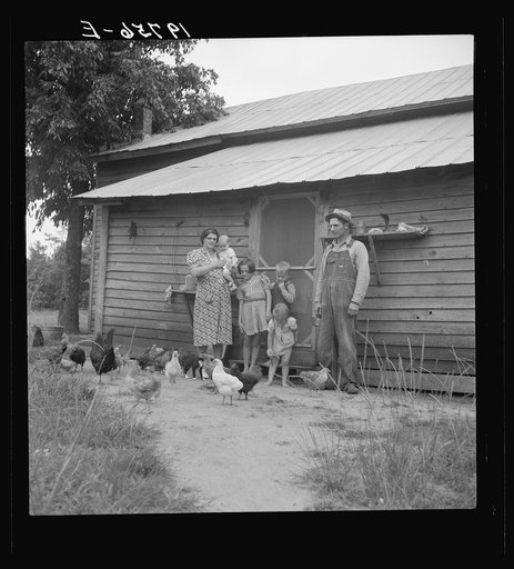 Untitled photo, possibly related to: Tobacco sharecropper with his oldest daughter. Person County, North Carolina