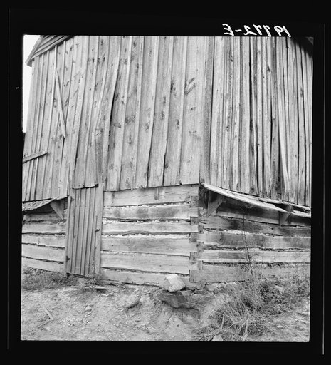 Showing construction of tobacco barn. Person County, North Carolina