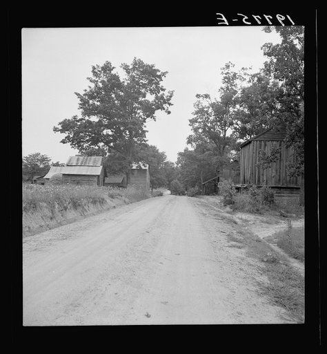 Looking down country road in Person County, North Carolina. Note light sandy soil