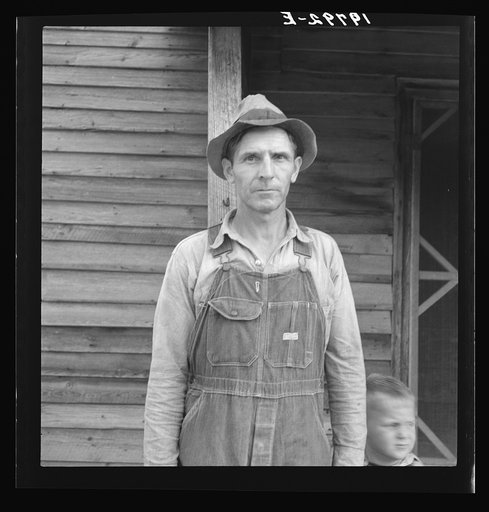 Untitled photo, possibly related to: Tobacco sharecropper. Person County, North Carolina