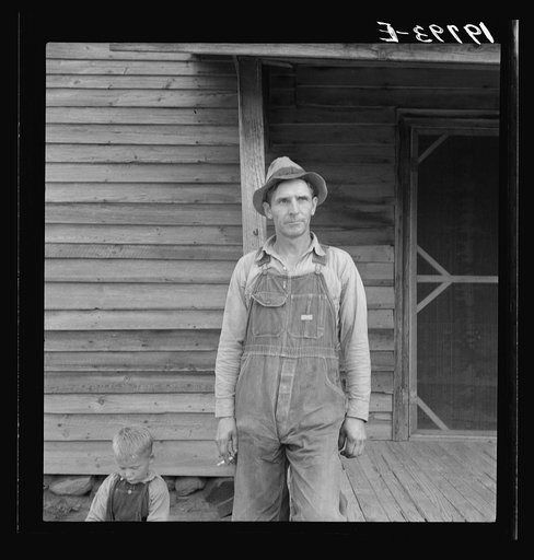 Tobacco sharecropper. Person County, North Carolina