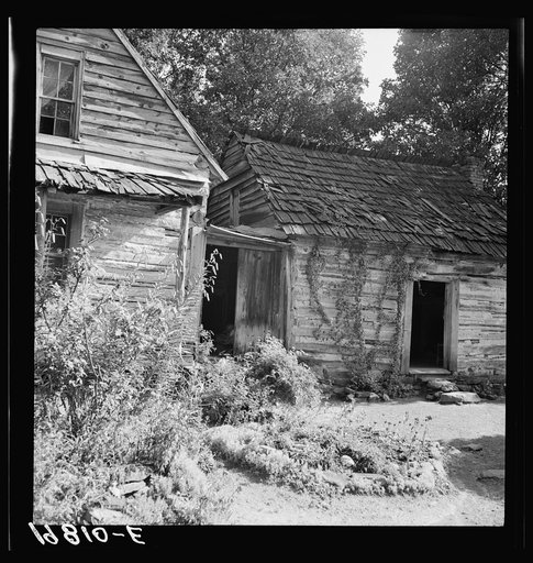 House and yard of Negro owner