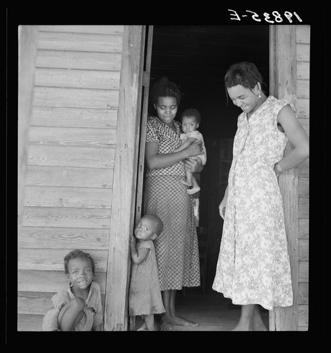 Two tobacco tenant mothers (related) with part of their children. Wake County, North Carolina