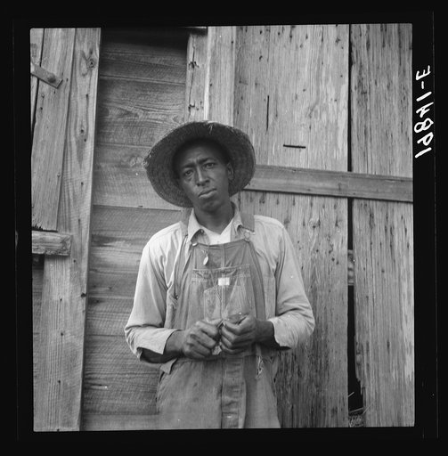 Untitled photo, possibly related to: Tenant farmer. Chatham County, North Carolina
