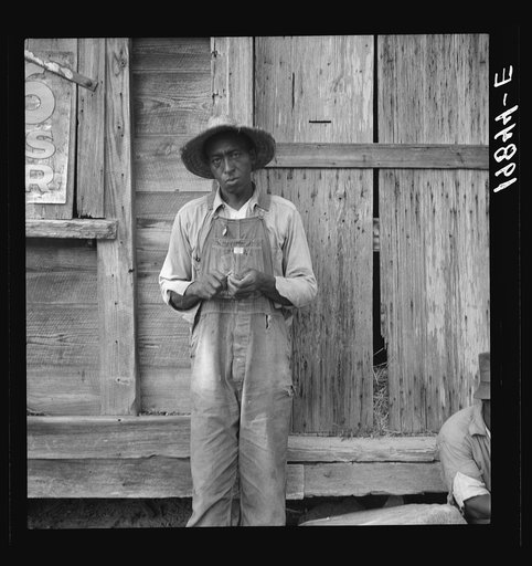 Untitled photo, possibly related to: Tenant farmer. Chatham County, North Carolina