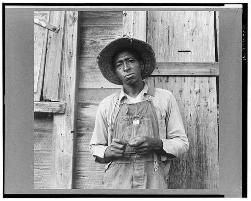 Tenant farmer. Chatham County, North Carolina