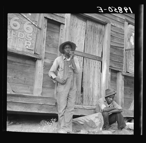 Untitled photo, possibly related to: Tenant farmer and friend. Chatham County, North Carolina