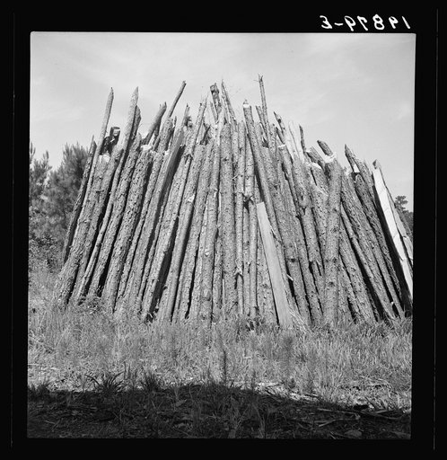Untitled photo, possibly related to: The old tobacco barn (new one under construction.) Note logs stacked in pile on left for firing and curing tobacco. Chatham County, North Carolina