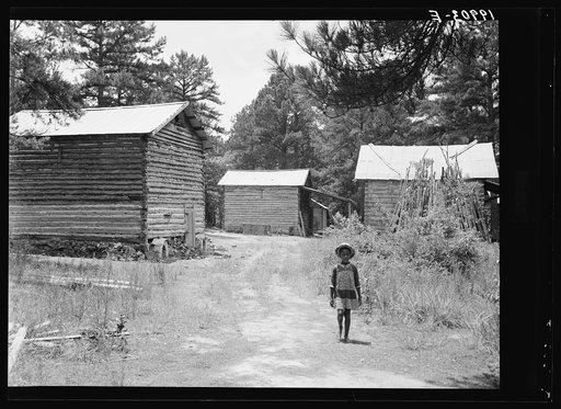 Untitled photo, possibly related to: Tobacco barns on the Stone place. Upchurch, North Carolina