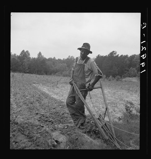 Negro plowing corn. He is a tenant; raises mainly tobacco; has lived here for four years. The cornfield is grassy and poor. On dirt road from Highway 144. Person County, North Carolina. He is saying "You ain't looking for money, is you?" Person County, North Carolina