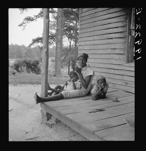 Untitled photo, possibly related to: Tobacco sharecropper's daughter getting eggs from hen's nest in the henhouse. Enclosure for the pig is just beyond under the pine trees. Person County, North Carolina