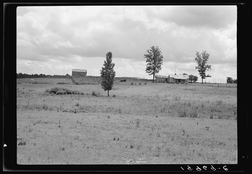 Farmhouse and landscape of Negro tenant family as seen from the road. Near Pittsboro, North Carolina