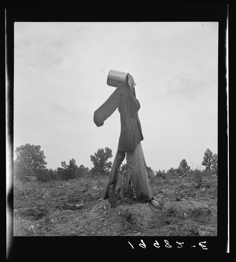 Untitled photo, possibly related to: Scarecrow on a newly cleared field with stumps near Roxboro, North Carolina
