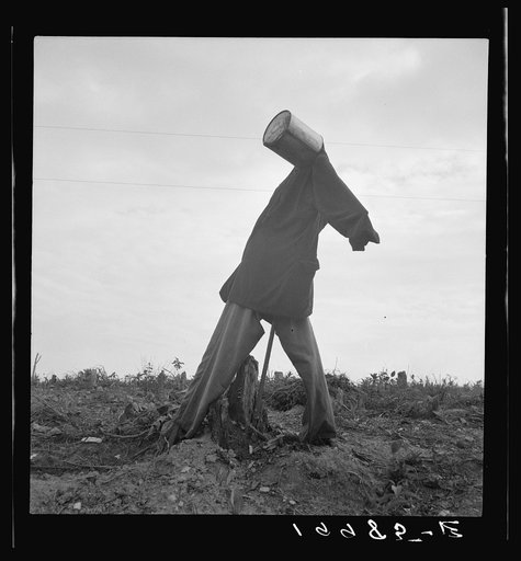 Untitled photo, possibly related to: Scarecrow on a newly cleared field with stumps near Roxboro, North Carolina