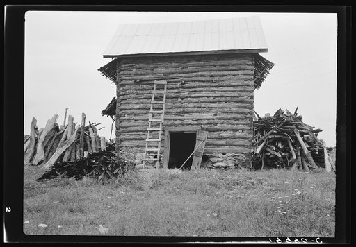 Wood stacked up preliminary to firing the tobacco. Person County, North Carolina