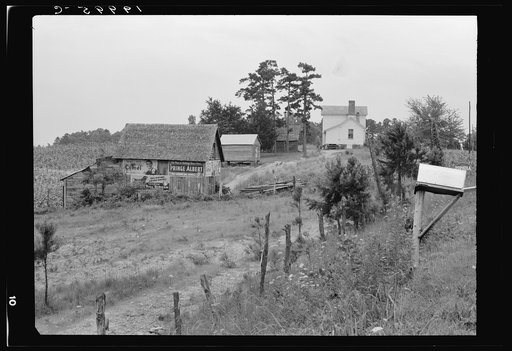 General view of a hillside farm which faces the road showing owner's house, outbuildings, and tobacco field showing erosion. The Negro sharecropper farm is on the other side of this same hill. Person County, North Carolina