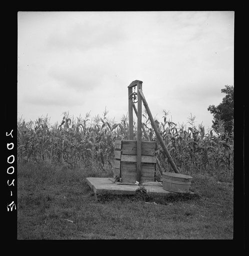 Negro sharecropper tobacco farm. The path between the house and the well is well worn. Person County, North Carolina