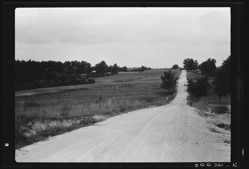 Farm landscape, Person County, North Carolina, showing tobacco fields, pasture, fine woods, white sandy roads, and operator's house between trees at left