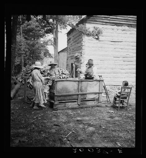Untitled photo, possibly related to: Wives of tobacco tenants pile the tobacco before the barn preparatory to firing. Granville County, North Carolina