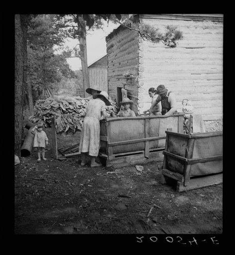 Untitled photo, possibly related to: Wives of tobacco tenants pile the tobacco before the barn preparatory to firing. Granville County, North Carolina
