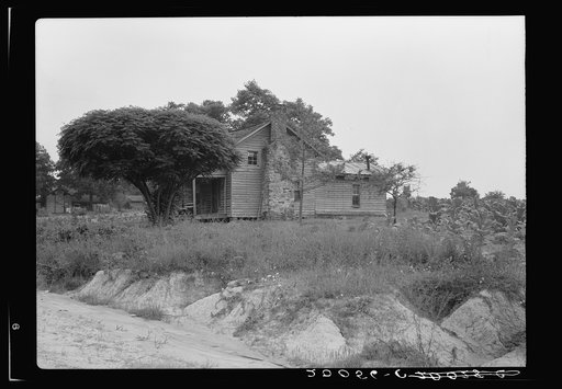 Untitled photo, possibly related to: Story-and-a-half weatherboard house. Note chinaberry tree, common for shade. Note soil erosion in foreground. Note corner of tobacco field. Person County, North Carolina
