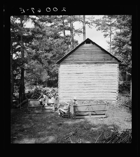 Untitled photo, possibly related to: Young son of tenant farmer gathering sticks for workers to string tobacco on. Granville County, North Carolina