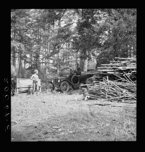 Untitled photo, possibly related to: Young son of tenant farmer gathering sticks for workers to string tobacco on. Granville County, North Carolina