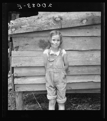 Eight year old daughter who helps about the tobacco barn and takes care of the baby. Granville County, North Carolina