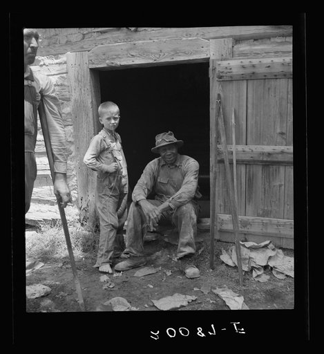 Tobacco people take it easy after their morning's work "putting up" tobacco. Granville County, North Carolina