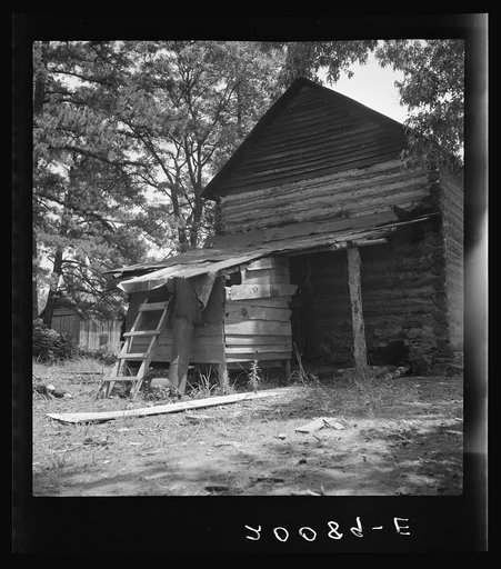Untitled photo, possibly related to: Young son of tenant farmer gathering sticks for workers to string tobacco on. Granville County, North Carolina