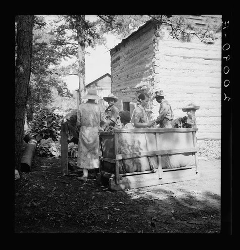Untitled photo, possibly related to: Families stringing tobacco brought in from the field by sled. Granville County, North Carolina