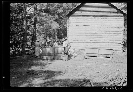 Untitled photo, possibly related to: Families stringing tobacco brought in from the field by sled. Granville County, North Carolina