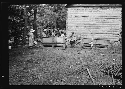 Families stringing tobacco brought in from the field by sled. Granville County, North Carolina