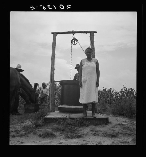 Untitled photo, possibly related to: Negro sharecropper tobacco farm. The path between the house and the well is well worn. Person County, North Carolina