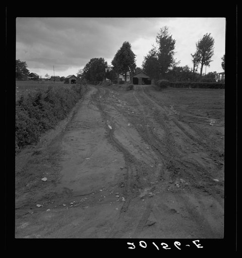 Dirt road. Earth is red-colored clay mud. Granville County, North Carolina