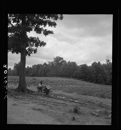 Negro tenant farmer reading paper on a hot Saturday afternoon. Note vegetable garden across footpath. Chatham County, North Carolina