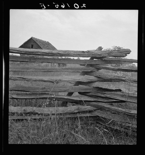 Construction detail of rail fence. Person County, North Carolina