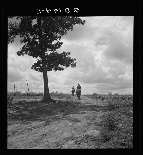 Sons of Negro tenant farmer go off visiting on Saturday afternoon. Granville County, North Carolina