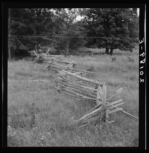Rail fence with poor barbed wire fence in foreground. Note telephone line. Person County, North Carolina