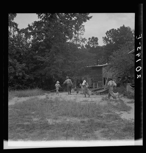 Noontime chores on Negro tenant farm. The grandfather and children off to feed the pigs. Granville County, North Carolina
