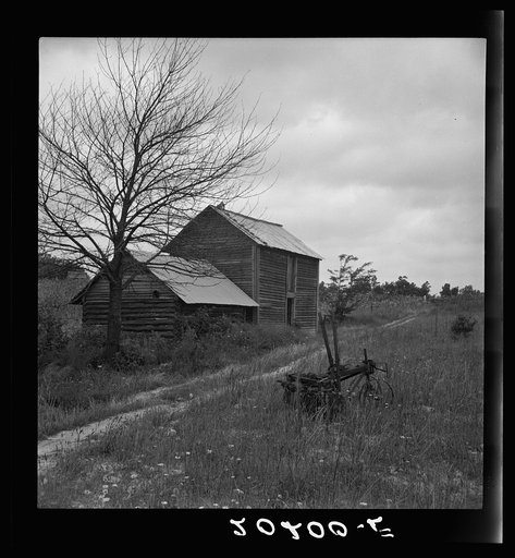 Hillside Farm road leading from sharecropper's house back to the public road. Disc harrow rusting in field and tobacco pack house with log "odering house" adjoining. Person County, North Carolina