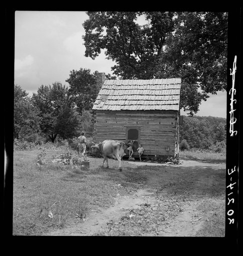 Log home of non-farm family. The father works in a chair making factory in Hillsboro. They keep a cow and a small garden. Orange County, North Carolina