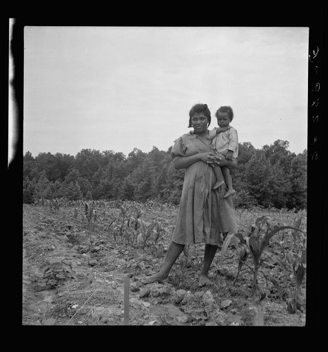 Wife and child of young sharecropper in cornfield beside house. Hillside Farm, Person County, North Carolina