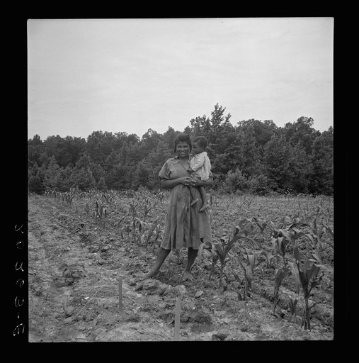 Untitled photo, possibly related to: Wife and child of young sharecropper in cornfield beside house. Hillside Farm, Person County, North Carolina