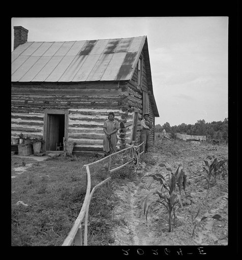 Home of tenant, Hillside Farm. Note lathe fence to protect flowers in yard. They have no privy and haul water. Sacks hanging on line are used to haul tobacco to market. Person County, North Carolina