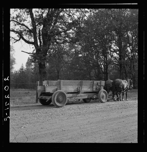 Wagon built on the farm utilizing parts of wrecked Dodge truck. "The team can haul three times as much." Oregon, Kirby (Josephine County)