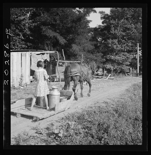 All Chris Adolf's children are hard workers on the new place. Yakima Valley, Washington. Farm of Rehabilitation Administration borrower