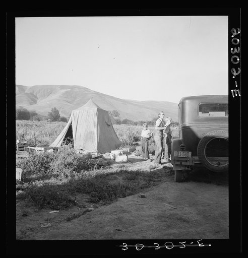 Fatherless migratory family camped behind gas station. The mother is trying to support three boys by picking pears. Just arrived from Minnesota, she used to work in a restaurant there. Oldest boy, age ten, helped carry ladder from tree to tree Photograph made at end of day (temperature 106 degrees) 