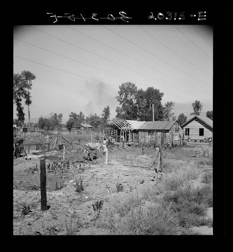 Home, self-built in two years, bit by bit. Have cow, calf, chickens, barn. Family originally came from Michigan. Husband now has job in garage. Yakima, Washington